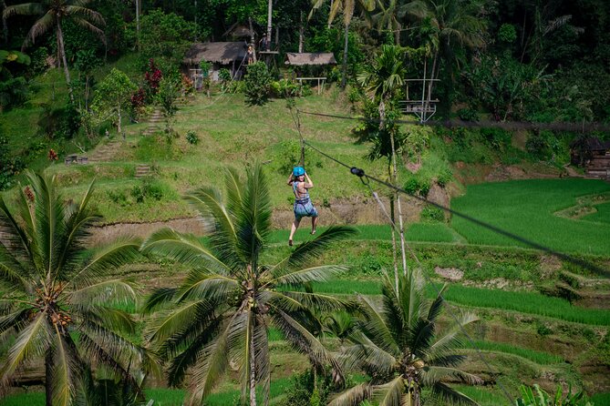 Ubud Half Day Zipline and Jungle Swing - Ulu Petanu Waterfall and the 180-step return trip