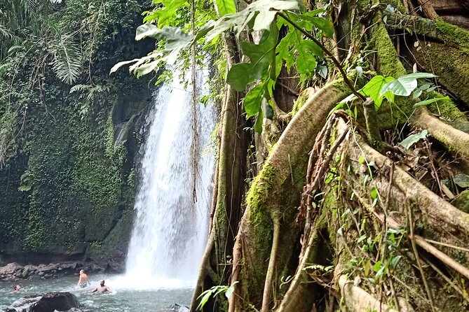 Ubud Half Day Zipline and Jungle Swing - Coffee, tea, and a possible extra stop