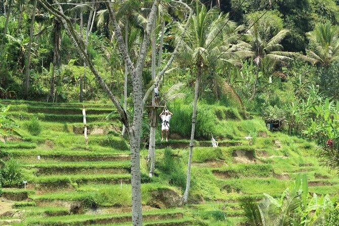 Ubud Half Day Zipline and Jungle Swing - Is $69.80 a fair price?