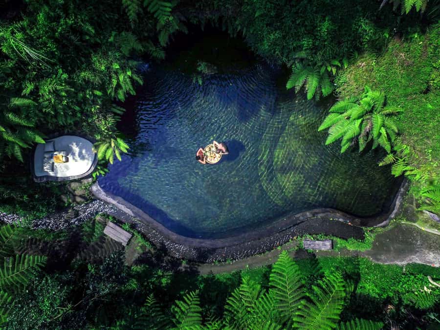 Ubud: Half-Day Zipline and Jungle Swing Adventure - Ubud’s zipline begins with a safety-first setup