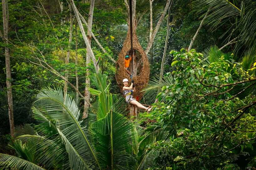Ubud: Half-Day Zipline and Jungle Swing Adventure - What the $33 price really covers