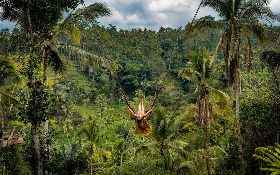Ubud: Half-Day Zipline and Jungle Swing Adventure - Small drawbacks worth knowing before you go