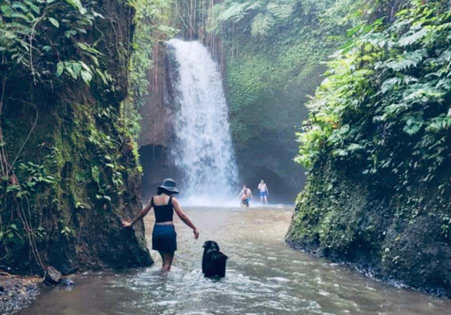 Ubud: Horse Riding, Zip-Line Tour & Waterfall Tour - Key points at a glance