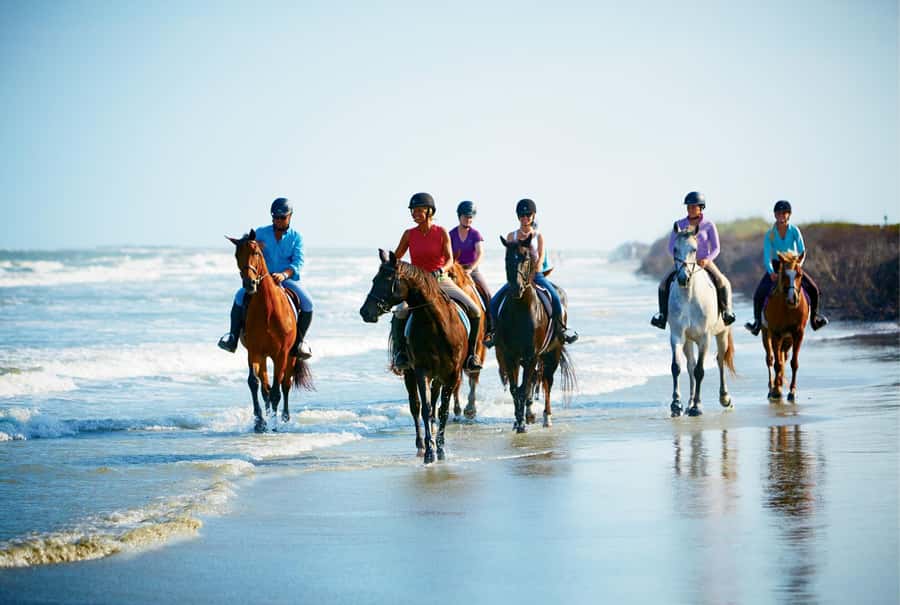 Ubud: Horse Riding, Zip-Line Tour & Waterfall Tour - Who should book this Bali combination tour?