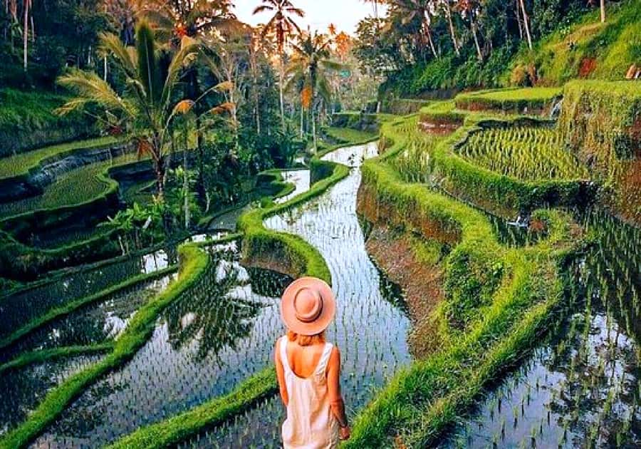 Ubud: Zip-line Adventure, River Rafting & Rice Terraces Tour - Who should book this Ubud adventure?