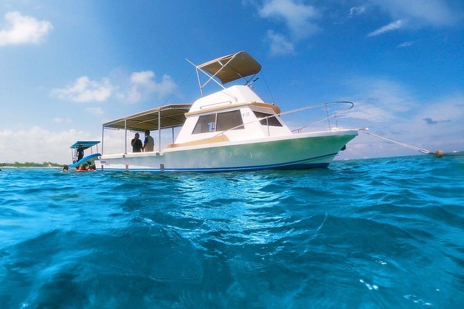 Ultimate 5x1 Combo with ATV, Ziplines, Cenote & Reef Snorkeling - Puerto Morelos Lunch and a Quick Change