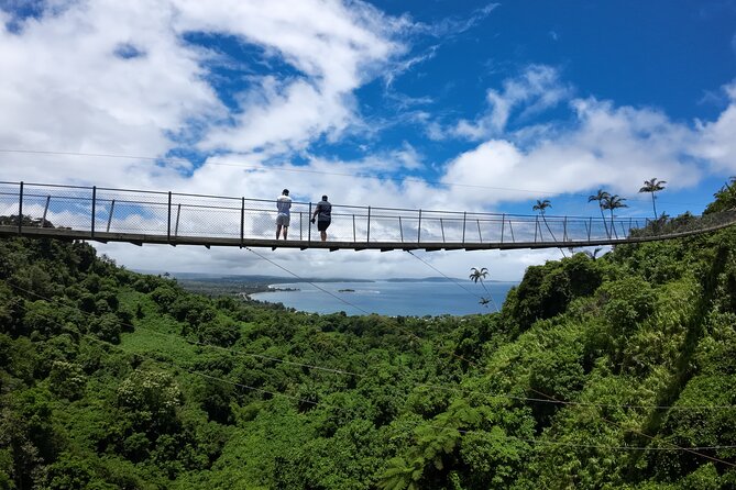 Vanuatu Jungle Zipline - Self Drive Option - Who will enjoy this most?