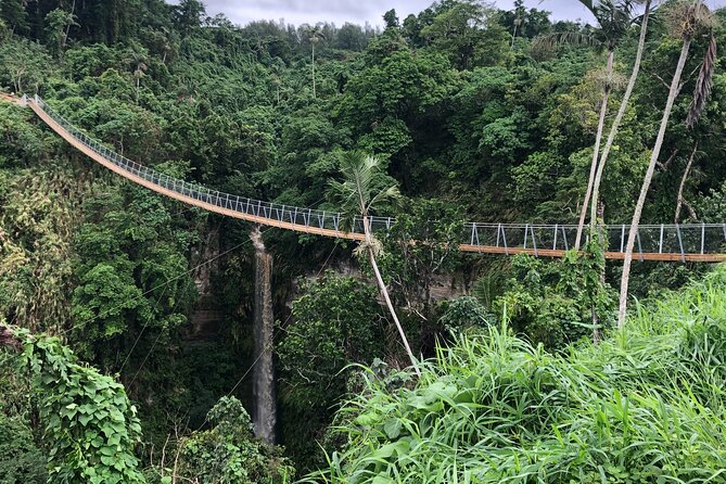 Vanuatu Jungle Zipline, Swing and Skybridge Combo with Transfer - Fitness, clothing, and weight rules