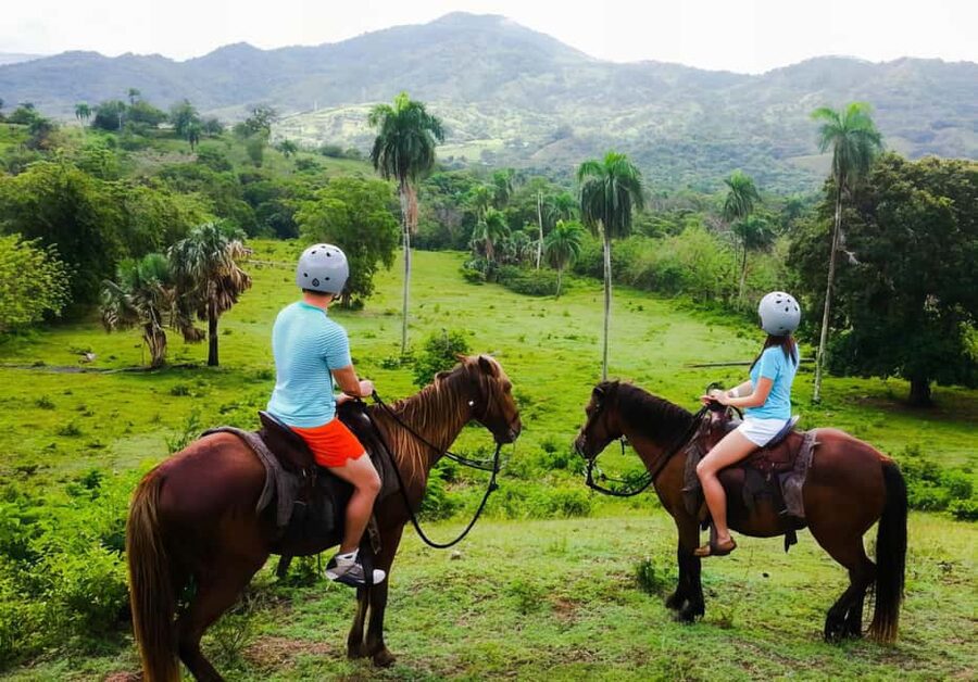 VIP DayPass | ATV's, Zip Lines, Horse Riding| Hotel & Cruise - Eight zip lines with views from above