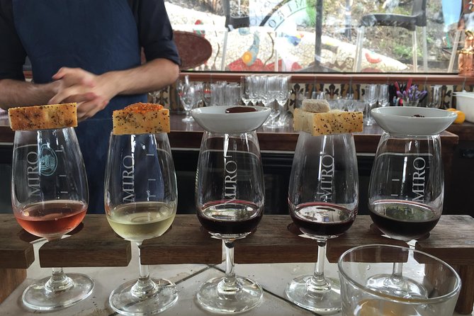 Waiheke Island Day Tour: Ziplining, Wine Tasting & Vineyard Lunch - Olive oil at Allpress Olive Groves