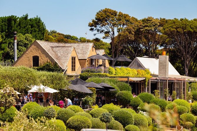 Waiheke Island Day Tour: Ziplining, Wine Tasting & Vineyard Lunch - Three EcoZip flights and a native forest walk
