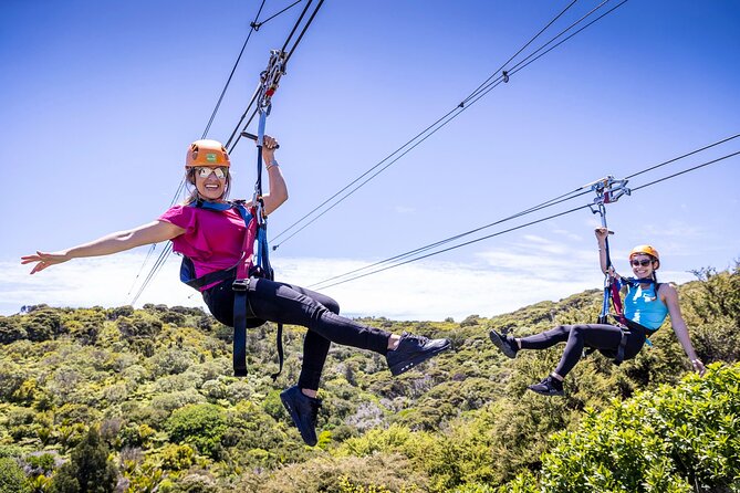 Waiheke Island: Zipline And Forest Walk - Key points to know before you go