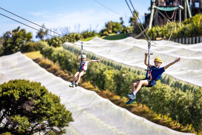 Waiheke Island: Zipline And Forest Walk - The forest walk is half the point