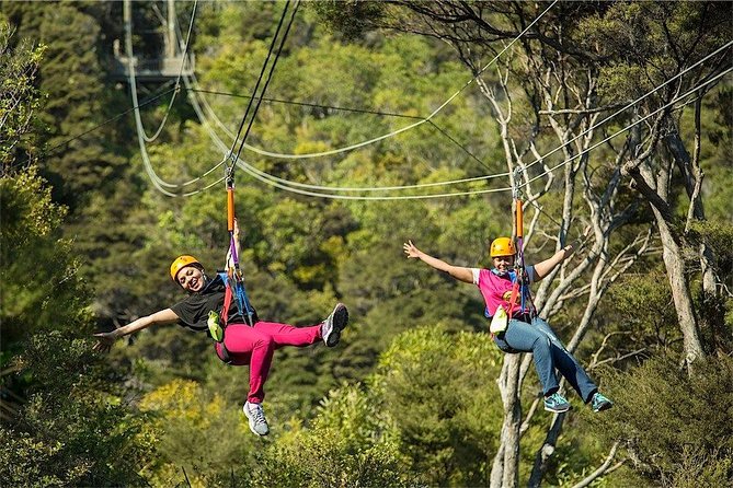 Waiheke Island: Zipline And Forest Walk - What the $92.47 price really covers