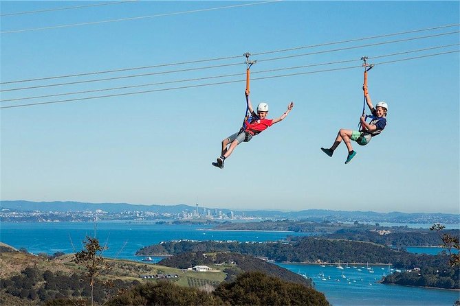 Waiheke Island: Zipline And Forest Walk - Who will enjoy this most?