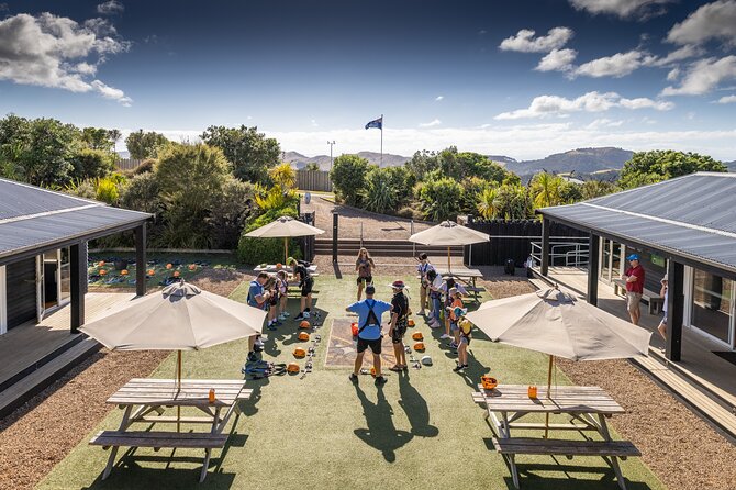 Waiheke Island: Zipline And Forest Walk - Three flights, from vineyard to native forest