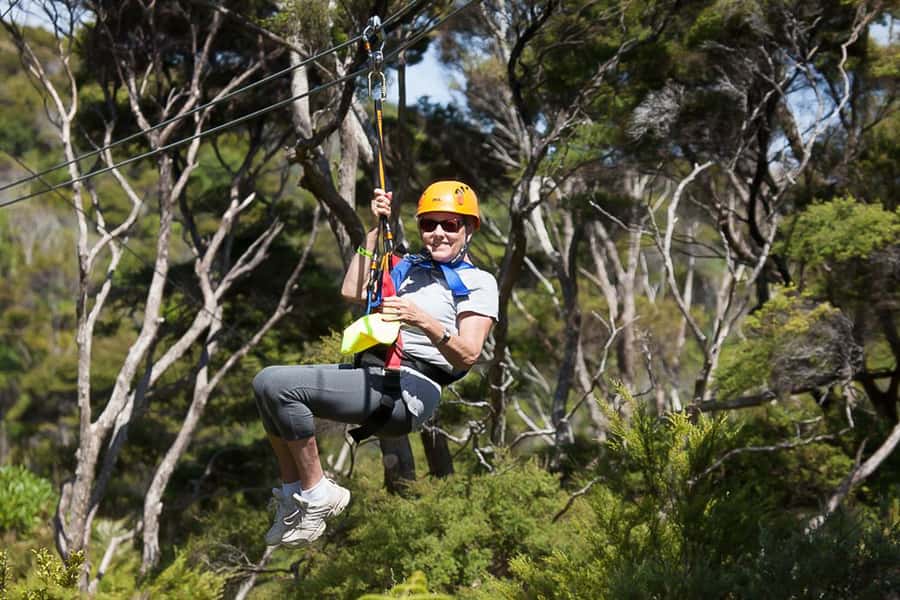 Waiheke Island: Zipline and Native Forest Adventure Trip - Timing, clothing, and seasonal advice
