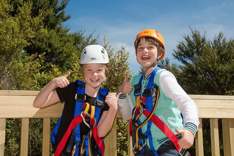 Waiheke Island: Zipline and Native Forest Adventure Trip - Three flights above bush and vineyard