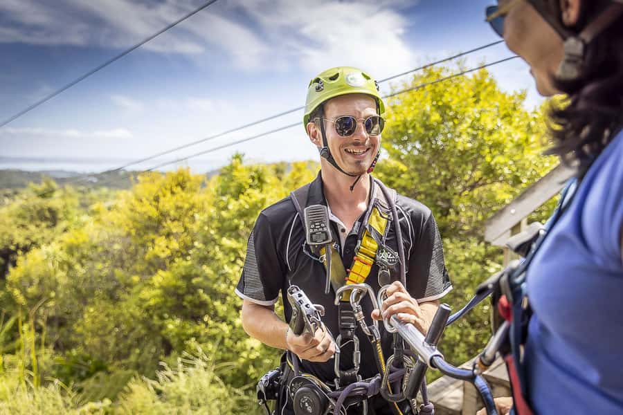 Waiheke Island: Zipline and Native Forest Adventure Trip - The forest walk is half the point