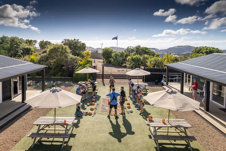 Waiheke Island: Zipline and Native Forest Adventure Trip - Who will enjoy it most?