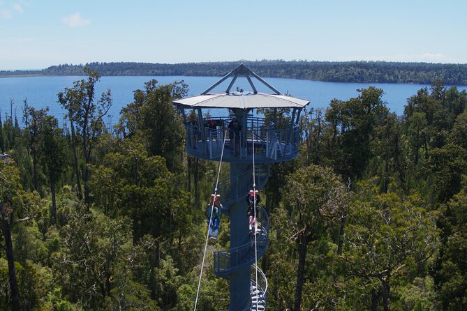 West Coast Tower Zipline & Treetop Walk Combo - Key details before you book