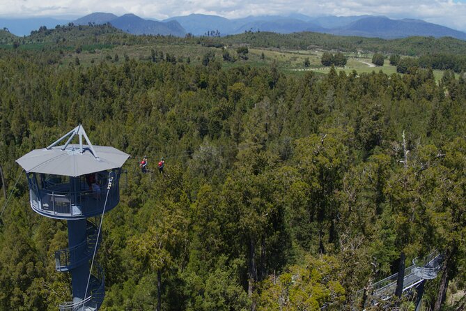 West Coast Tower Zipline & Treetop Walk Combo - The tandem zipline at 45 meters
