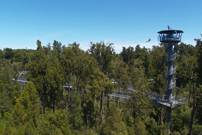 West Coast Tower Zipline & Treetop Walk Combo - What the $74.47 price includes