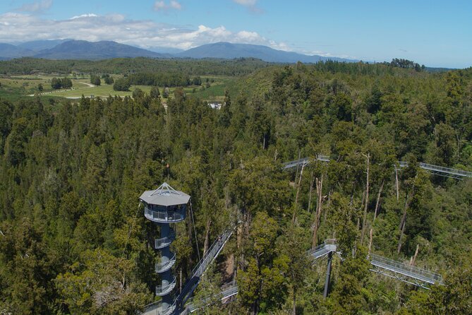 West Coast Tower Zipline & Treetop Walk Combo - Practical timing and what to bring
