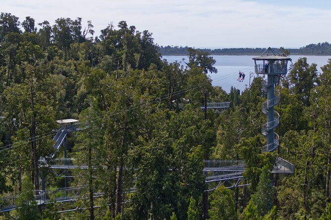 West Coast Tower Zipline & Treetop Walk Combo - The main strengths and the fair warning