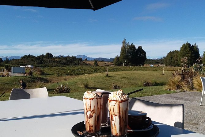 West Coast Treetop Walk - What the café adds to the stop