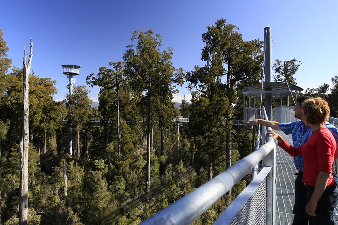West Coast Treetop Walk - Walking 450 meters through rimu and kamahi