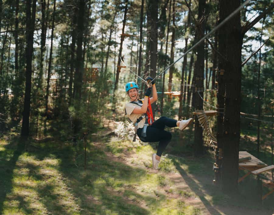 Western Sydney: Tree Ropes Courses - Key points for choosing the course