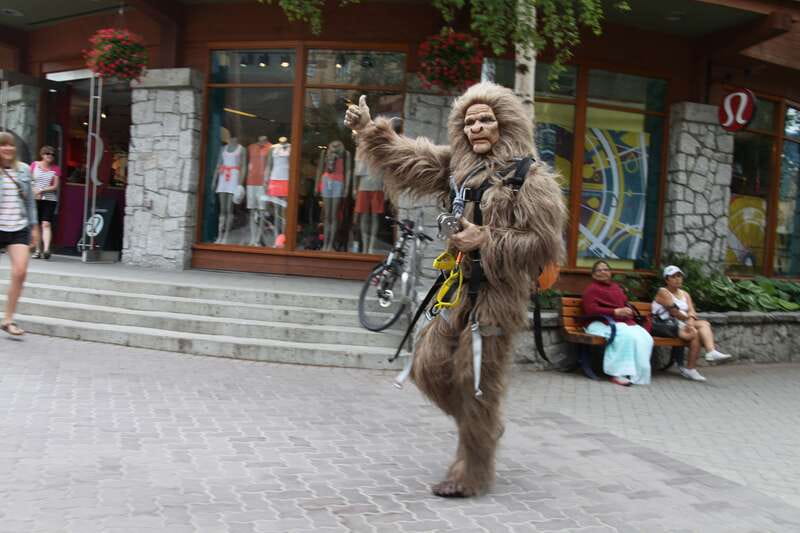 Whistler: The Longest Zipline in North America - Is $115 a fair price?