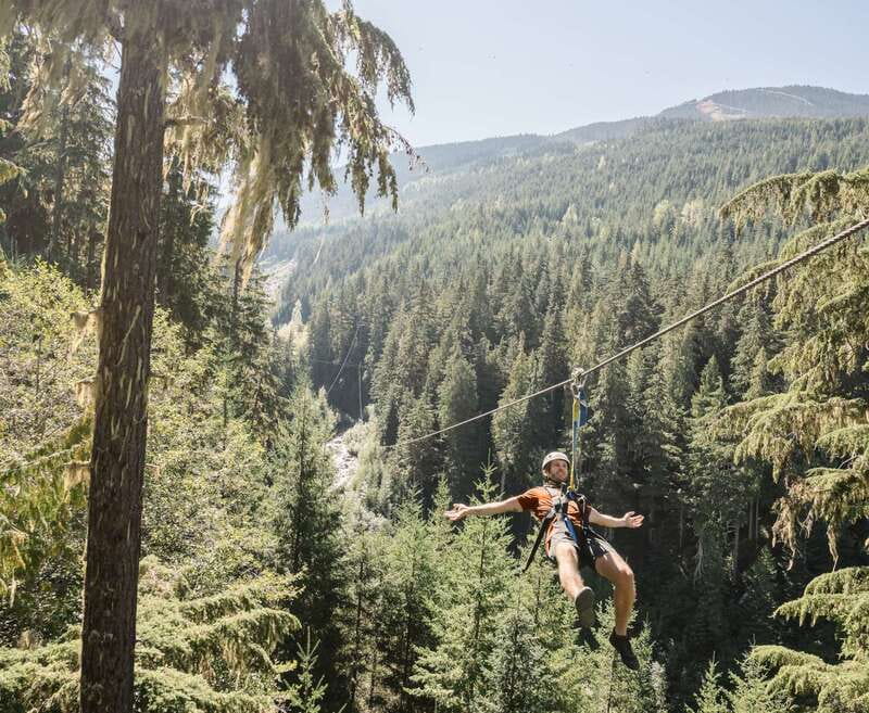 Whistler Zipline Experience: Ziptrek Bear Tour - Four ziplines through Whistler’s old-growth forest
