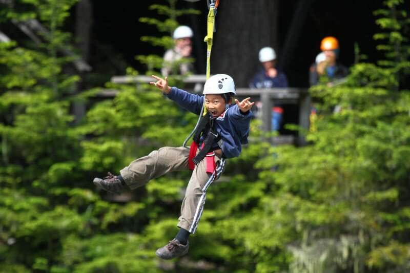 Whistler Zipline Experience: Ziptrek Bear Tour - Why the rainforest setting adds real value