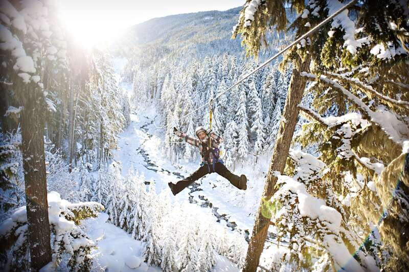 Whistler Zipline Experience: Ziptrek Bear Tour - Who will get the best value from the $115 price