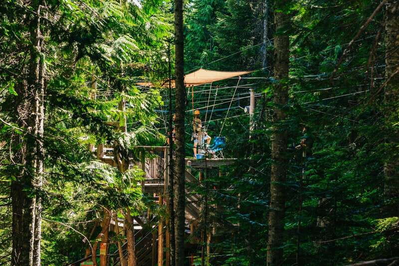 Whistler: Ziplining Experience - Who should choose this Whistler zipline tour?