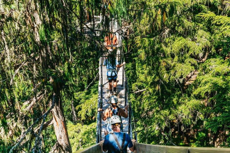 Whistler: Ziplining Experience - Booking advice for a smoother outing
