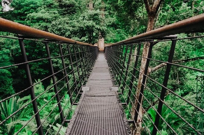 World A+ (Zipline 32 Platforms + Roller + Sky Walk with World Set Menu ) - The Rainforest Sky Walk gives you a needed pause