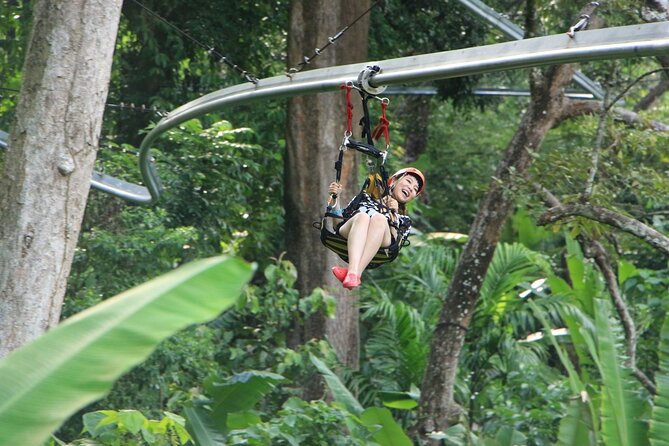 World B+ (Zipline 18 Platforms + Roller + Sky Walk with World Set Menu ) - The meal, equipment, and what you pay for