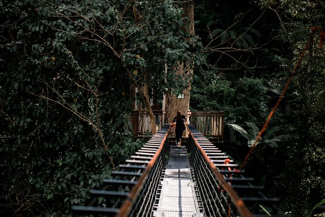 World B+ (Zipline 18 Platforms + Roller + Sky Walk with World Set Menu ) - Who should book this Phuket adventure