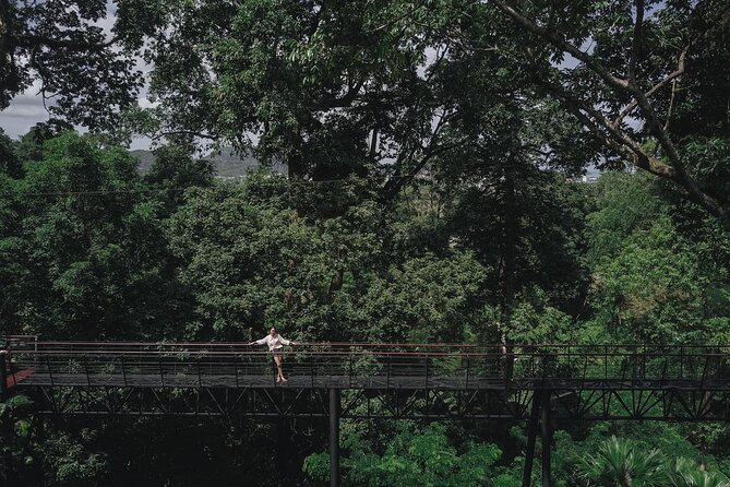 World C+ (Ziplines 10 Platforms + Roller + Sky Walk and World Set Menu ) - The 800-meter roller zipline is the main reason to come