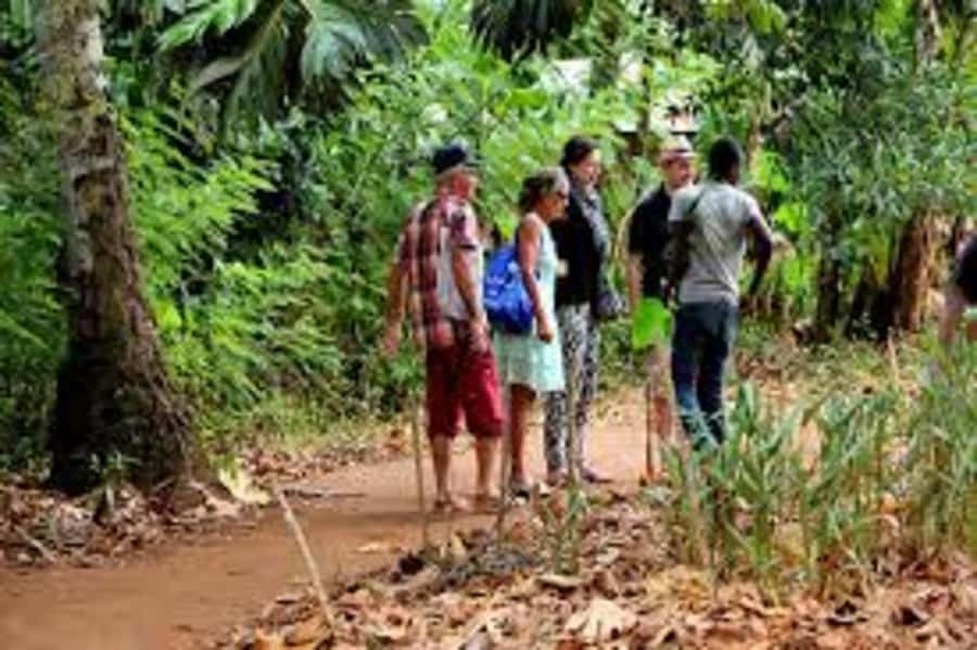 Zanzibar: Zipline Adventure At Masingini Forest - FAQ