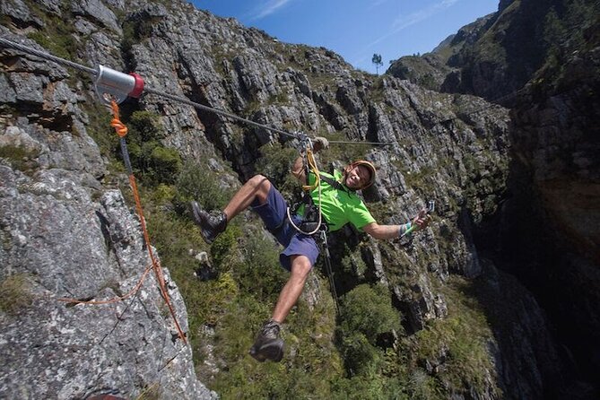 Zip Line and Wine from Cape Town - The cheetah stop needs checking before you book