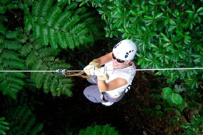 Zip line Fiji ex Fiji Marriot w/private transfer dropoff Nadi Airport or resort - The course at Tau Village, near Momi Bay