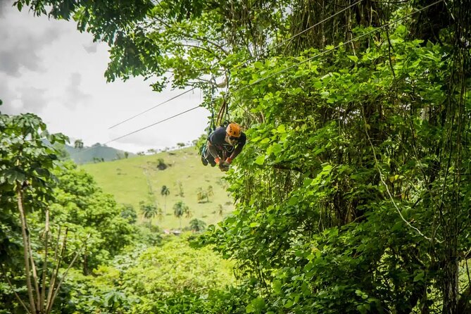 Zip Line in Punta Cana - Walking into the jungle course