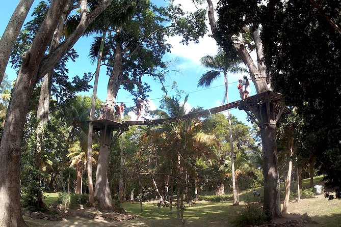 Zip Line over the Dunns River Falls - The day begins with a private ride from Montego Bay