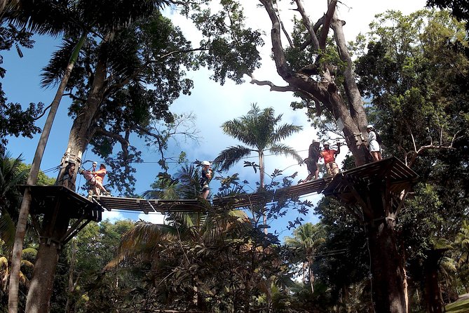 Zip Line over the Dunns River Falls - Time at the terraced waterfalls