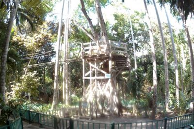 Zip Line over the Dunns River Falls
