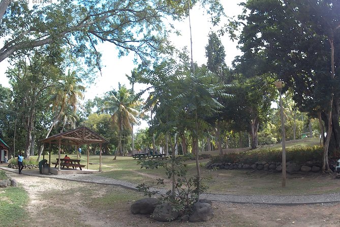 Zip Line over the Dunns River Falls - Why the private format matters at $192.67